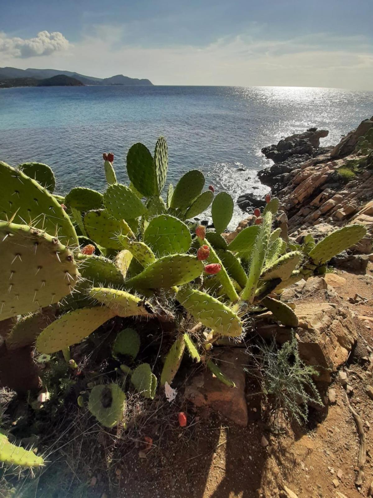 Resonance Experience - Tranquil Room Close To Beaches And Sacred Sites Sant Isidoro  外观 照片
