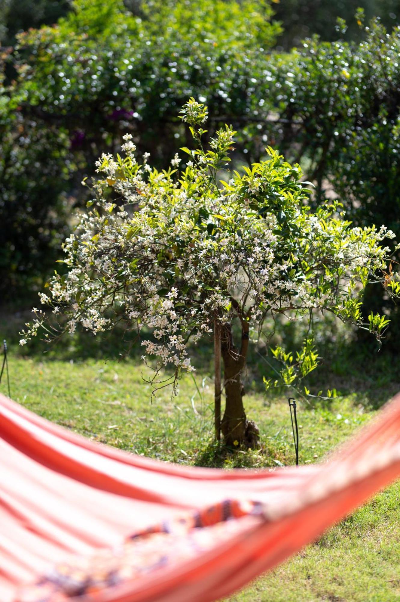 Resonance Experience - Tranquil Room Close To Beaches And Sacred Sites Sant Isidoro  外观 照片